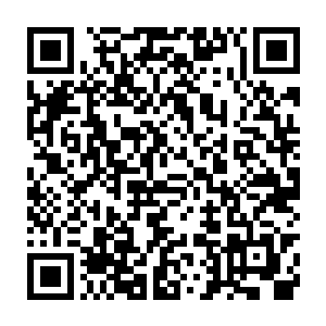 对于要不要进去把这只看似在沉睡的黑蜂宰了的心思也只剩下操蛋二维码生成