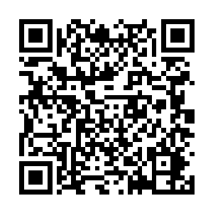 对于许紫烟来说却是和一根普通的草没有什么区别二维码生成