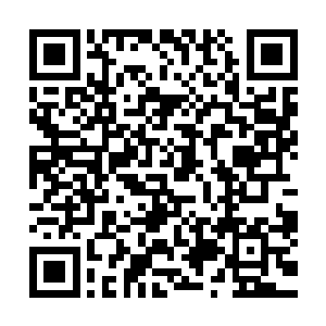 对于许紫烟的炼制兽皮和提纯兽血的手法他们已经看过一次了二维码生成