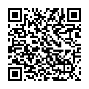 对于轮回神殿的事情龙傲天这十年内也是跟他们都说了二维码生成