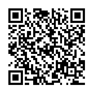 对于这一千个强大的气海境剑者而言是一个巨大的打击二维码生成