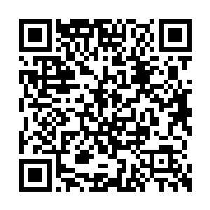 对于这一点苏凡等人也是没有什么可在担心了的二维码生成