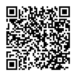 对于这个一看就很可能只是实用性的器具也就好奇一下它的用途而已二维码生成