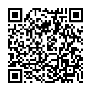 对于这个妖孽少年他们也准备采取放羊式教育了二维码生成