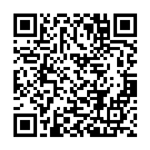对于这个胡家的大长老龙傲天可是一点好印象都没有二维码生成