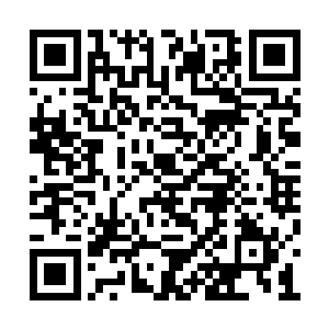 对于这些人打残之后萧晨依旧都交给了冷月处理二维码生成