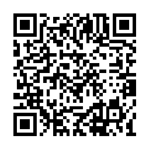 对于这些凡人可笑无知的想法也是觉得无可奈何二维码生成