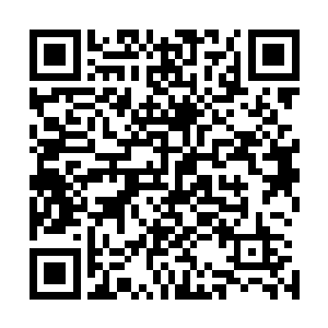 对于这些家伙来说有手有脚本身就可以去找个工作好好的干二维码生成