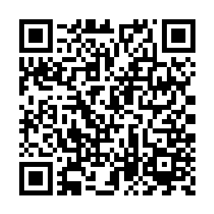 对于这些熟客而言可真是一个振奋人心的消息呀二维码生成