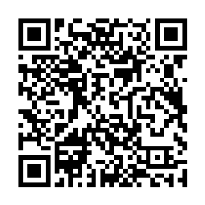 对于这些辛苦护卫的佣兵也没有什么高高在上的态度二维码生成