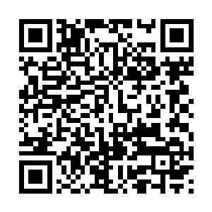 对于这变态的道尊天劫中的雷劫华夏九虽然很重视二维码生成