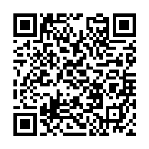 对于这时候的圣骑们来说这就是一个艰难的选择题二维码生成