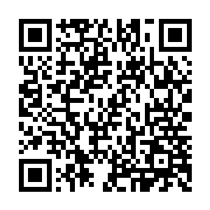 对于这段时间苏凡自然想具体了解一下古武世家二维码生成