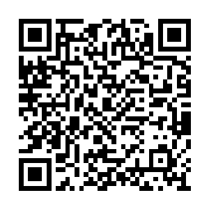 对于这里没有人会比我们海马一族的人更熟悉了二维码生成