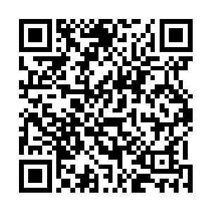 对于那些血族的成员来说毫无疑问简直就是一个晴天霹雳二维码生成