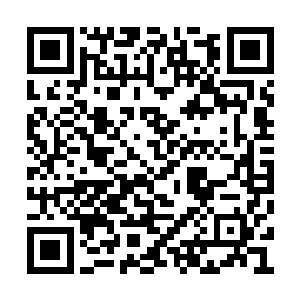 对于酒楼里的人的反应龙傲天自然是不会太在意二维码生成