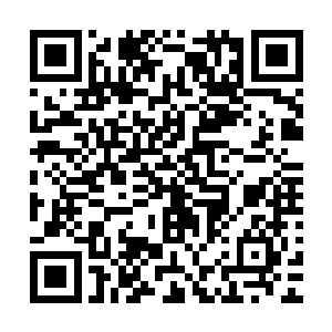 对于金在珉这个伤员节目组的人也大气的给金在珉换了头等舱二维码生成