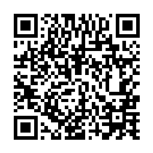 对于阴阳界内发生的一切都几乎可以说的上是了如指掌二维码生成