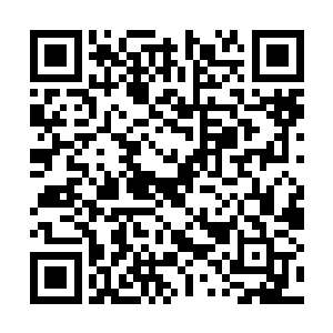 对于陈芝豹那套规矩森严的北凉军律也是置若罔闻二维码生成