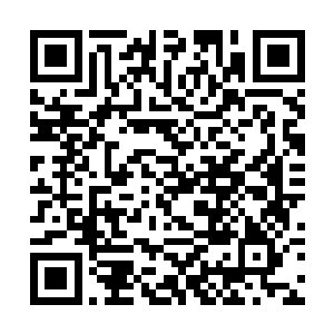 对于随随便便在街头与莽夫放对被杀掉却并没有兴趣二维码生成