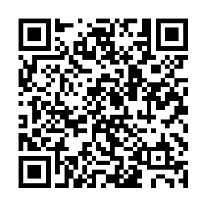 对于隐世家族的小动作我们只能够睁一只眼闭一只眼二维码生成