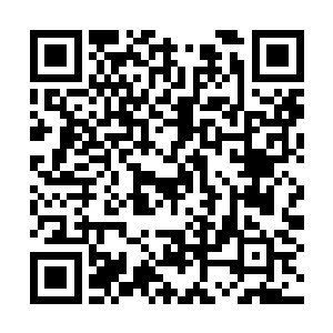 对于雷林的这种突飞猛进的进步速度已经大呼怪物二维码生成