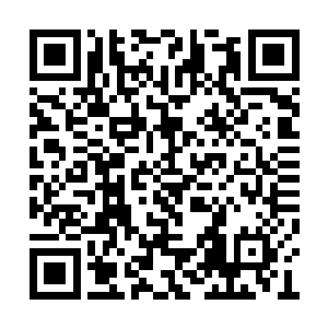 对于颜洛儿的戏谑促狭和流墨墨好奇满满的围观二维码生成