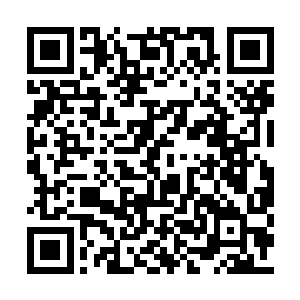 对于马晶莹这个刚刚突破仙皇后期巅峰的人来说二维码生成