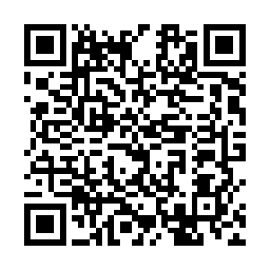 对于黑暗教廷还有天辰圣盟一直都是路易斯的心头大患二维码生成