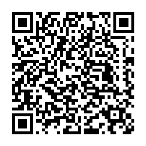 对于龙战之前雪天把那些几乎没有什么行动力的老猎手接过去的行为二维码生成