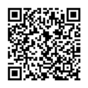 对从来都没有经历过这种局面的商界精英们来说二维码生成
