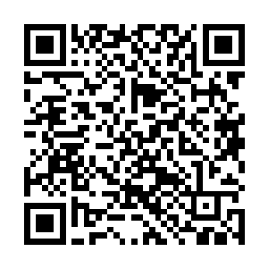 对他们进行强制整合……那无疑就是重新给了他们生命二维码生成