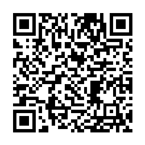 对他战略布局简直是天作之合……同样是地仙的女仙二维码生成