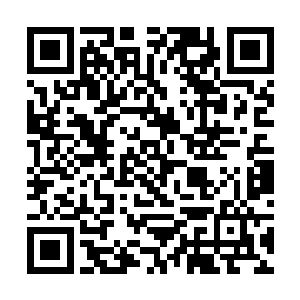 对付一个刚入门的臭小子对于他来说根本就不算什么二维码生成