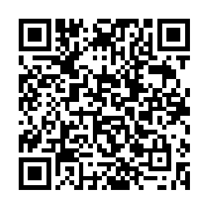 对付一只实力达到无极始境八重天至九重天的玄黄兽二维码生成