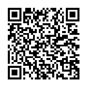 对付吞天兽她都需要预先结成阵法才能勉强抵抗一二二维码生成