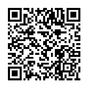 对你抱有这么大的期望……他姓秦……你也姓秦二维码生成