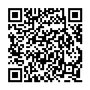 对元素水晶时常处于稀缺状态的普通的骑士来说二维码生成