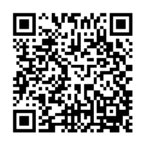 对其他凤羽族的人来说他们更加关心的还是这一届的雏凤榜二维码生成