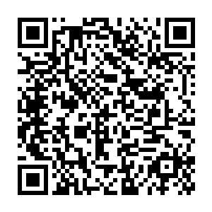对农村经济发展尤其是乡镇企业的蓬勃发展起到了至关重要的助推作用二维码生成