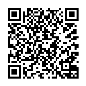 对冯必成的掌控能力和对这部电影的理解把握能力二维码生成