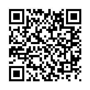 对准了一只样貌怪异的巨型天竺鼠二维码生成