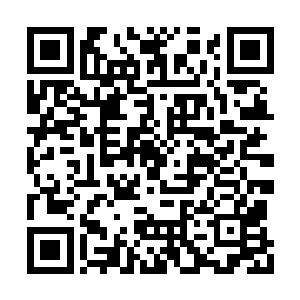 对剑术的理解可能还赶不上八大宗门的剑道天才二维码生成