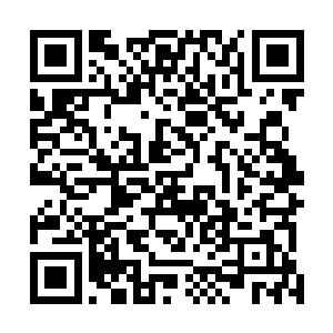 对华夏龙公司本体的对策他们也计划出来一个完整的方案二维码生成