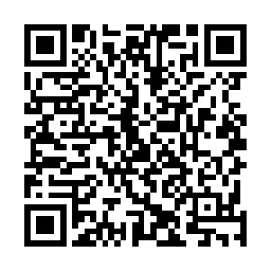 对后面有几个看起来年轻一点的西方面孔用电筒晃晃灯光二维码生成