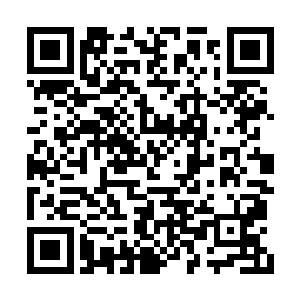 对周围的议论和投注在自己身上的目光视而不见二维码生成