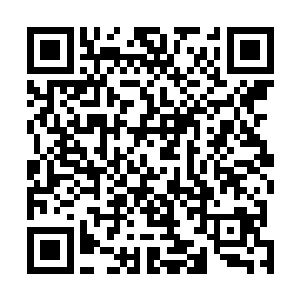 对土壤的可怕操控能力都是被他家祭司大人给硬逼出来的二维码生成