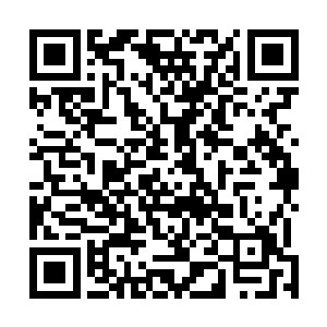 对地方和基层职业安全健康监管机构建设给予指导和支持二维码生成