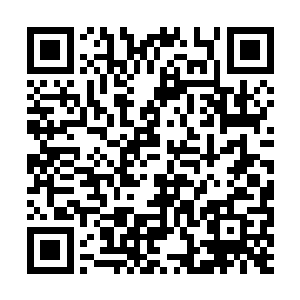 对境界已经踏入始境的他来说已经没有任何用处了二维码生成