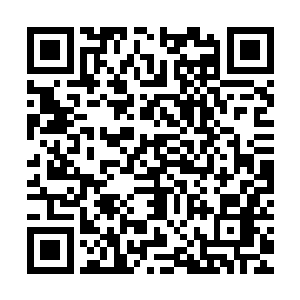 对外而一次公开表态……表明此番地面战场虽以白脉仙王为主帅二维码生成